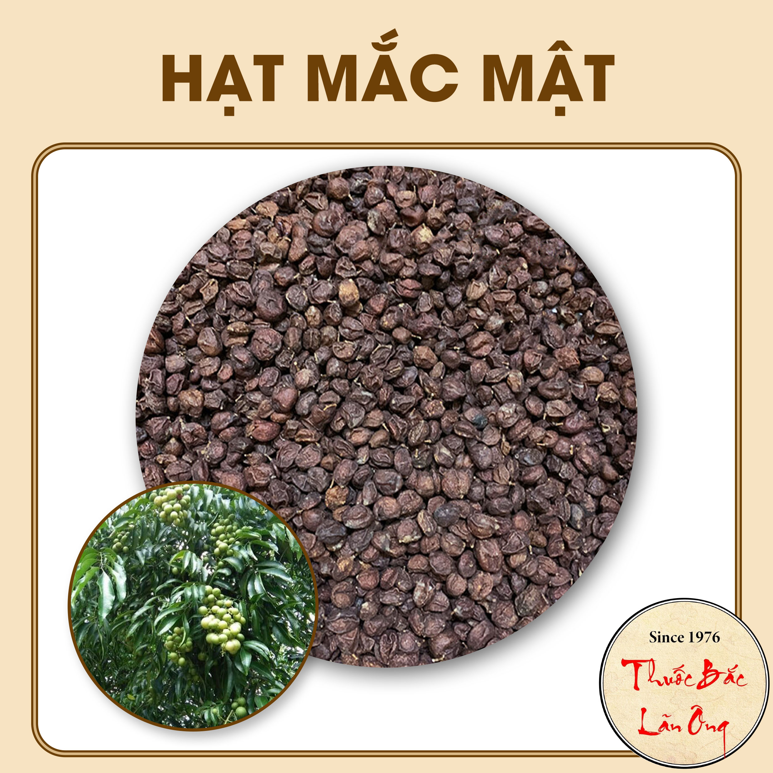 Hạt móc mật 1kg (quả mắc mật khô, đặc sản Tây Bắc, gia vị thơm ngon cho các món ăn)