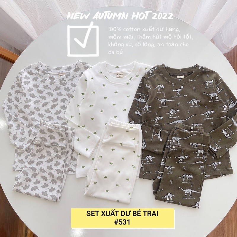 SET 3 BỘ COTTON XUẤT DƯ CHO BÉ TRAI
