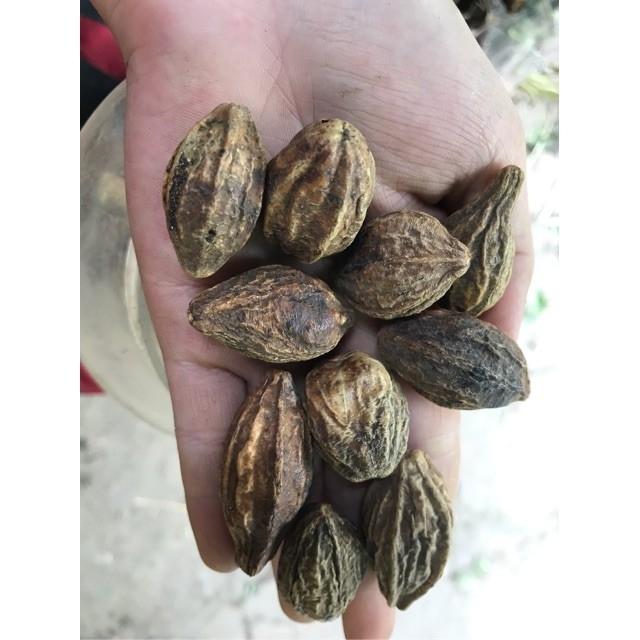 Quả Kha Tử 200gr