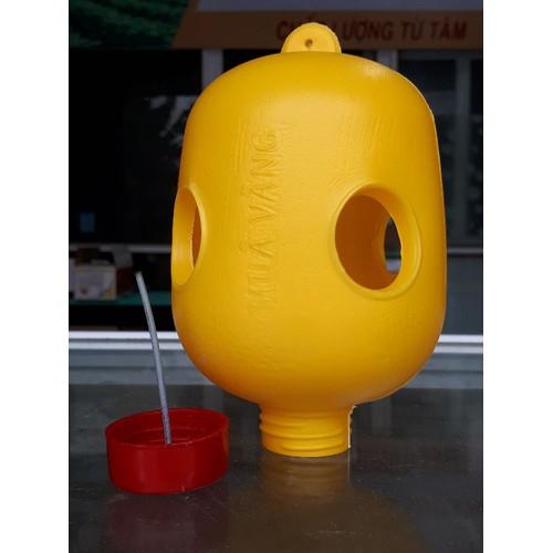 Lồng bẫy ruồi vàng