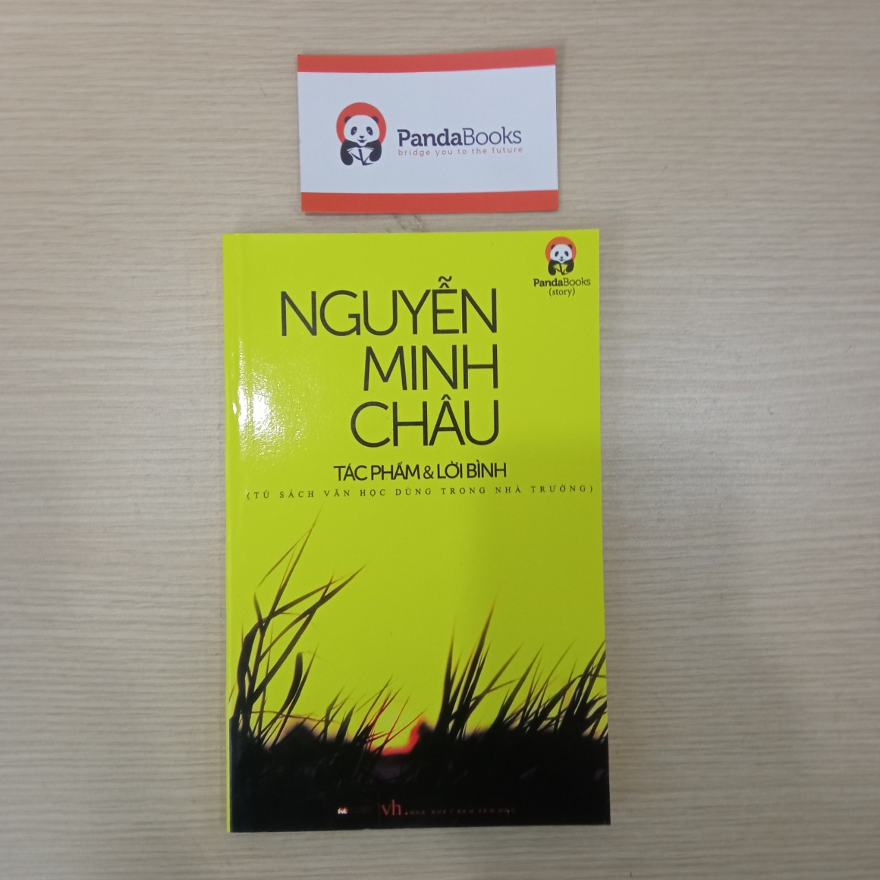 Nguyễn Minh Châu - Tác Phẩm & Lời Bình