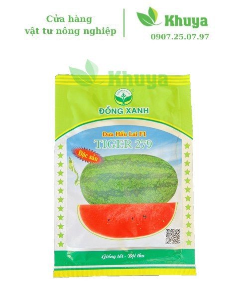 Hạt giống dưa hấu đồng xanh 279 20gr vỏ mỏng - ruột đỏ sậm