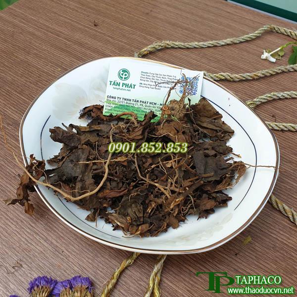 Cây sói rừng 500g