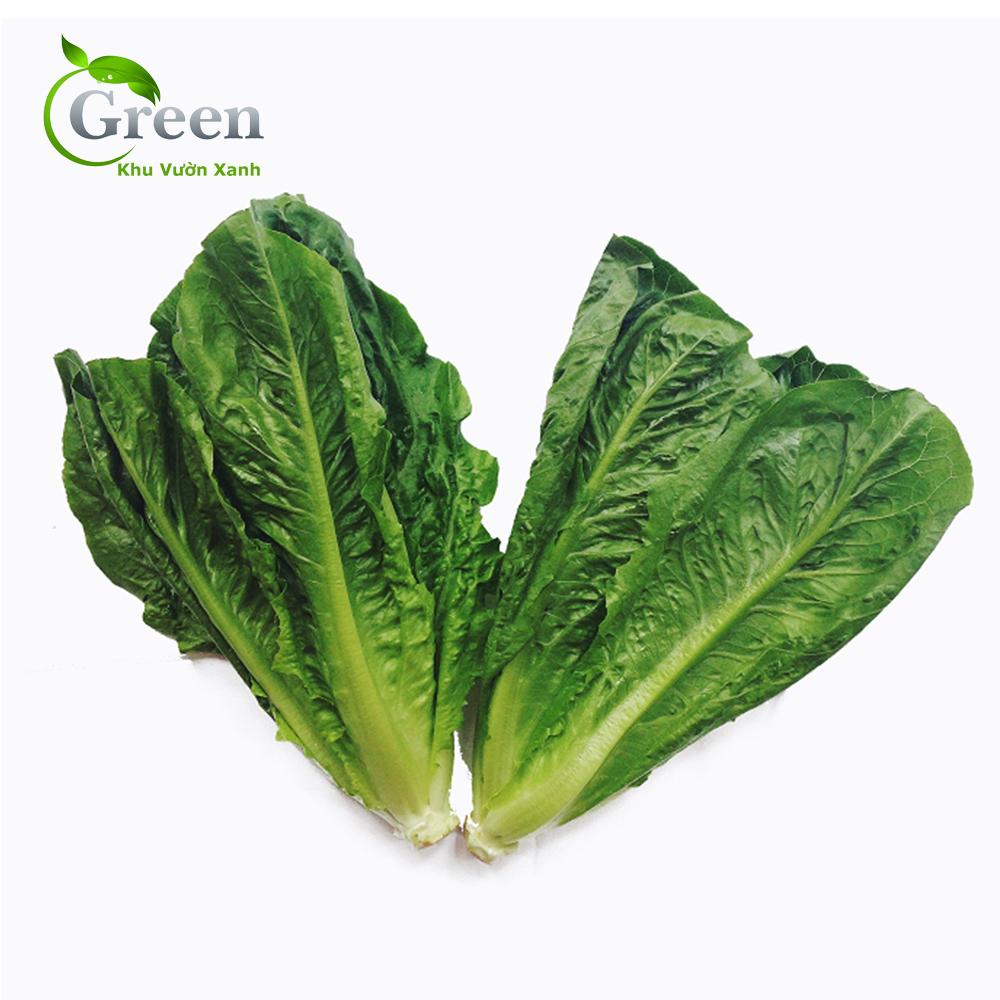 Hạt Giống Xà Lách Romaine Xanh Chịu Nhiệt Tốt, Trồng Quanh Năm