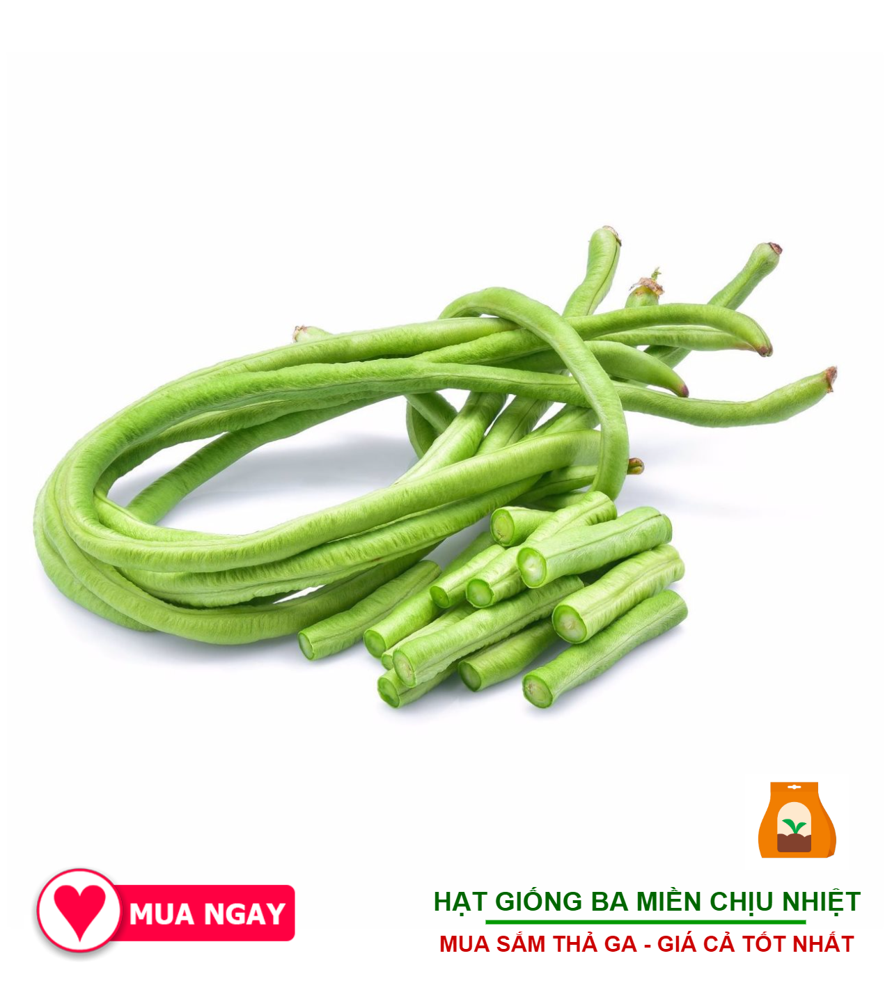 Hạt Giống Đậu Đũa Cao Sản Rạng Đông 20Gram