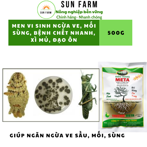 PHÂN VI SINH ĐIỀN TRANG TRICHO META 500G