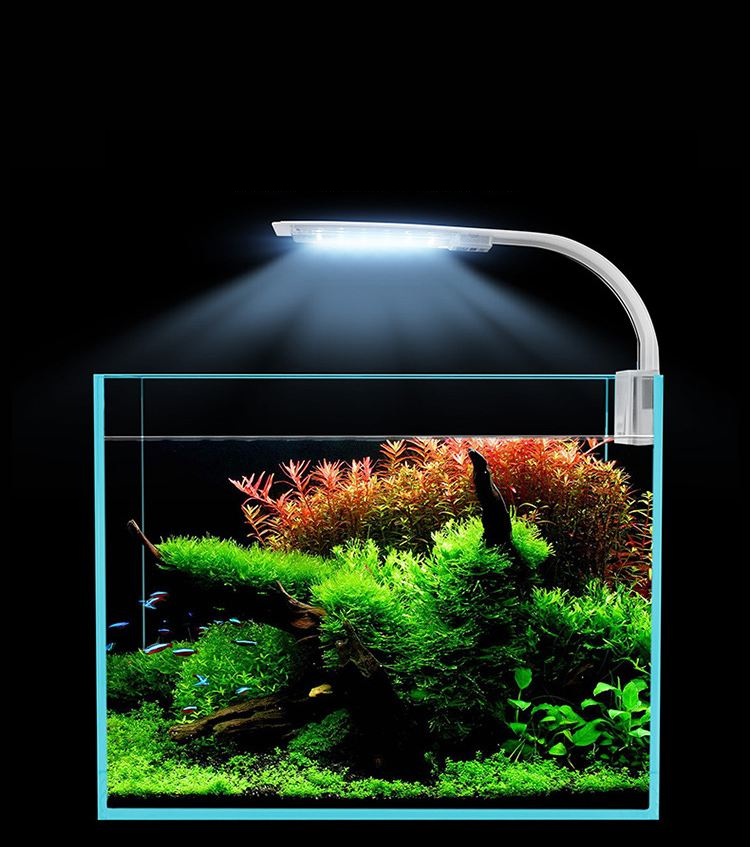 Đèn led X5 siêu sáng dành cho bể cá, bể thủy sinh (24 bóng)