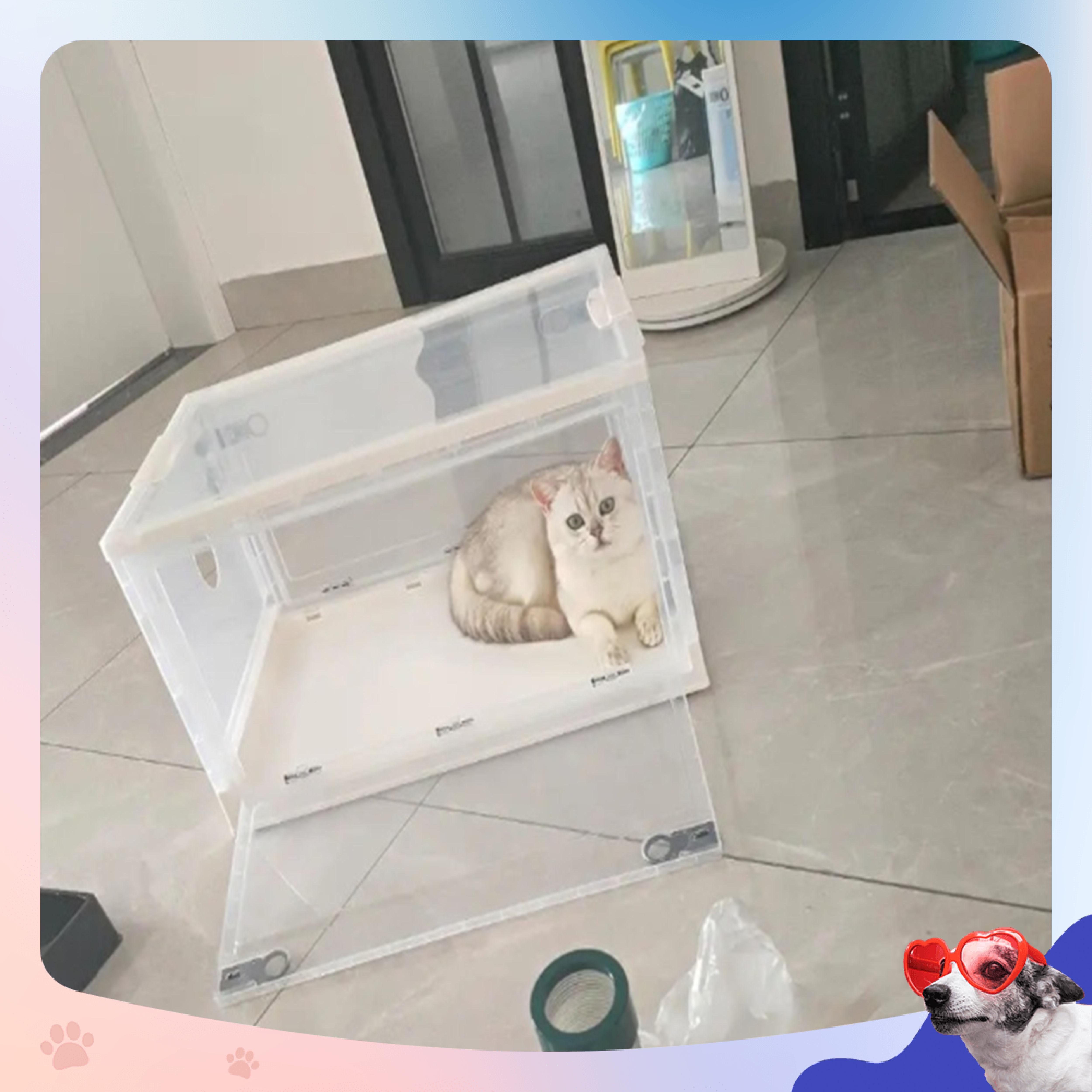 Hộp sấy lông Thú cưng + Máy sấy