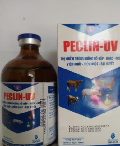 Uv- peclin ngừa đường hô hấp, khẹc, ort, viêm khớp, viêm
