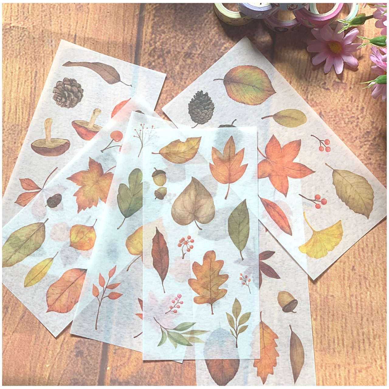 [HCM]Bộ 6 Tấm Sticker Dán Trang Trí - Lá Đỏ