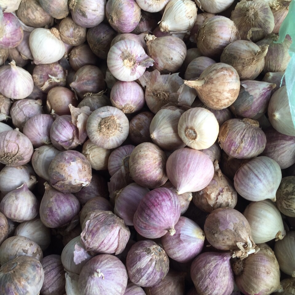 1kg tỏi cô đơn trung