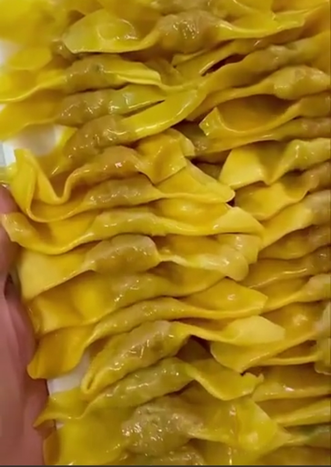 Hoành thánh thịt lá - khay 50 viên