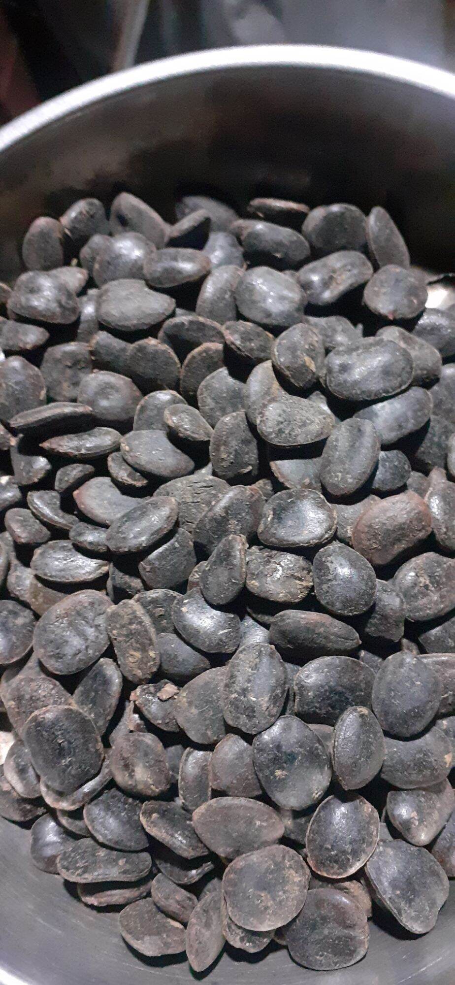 400gram hạt lim xanh giống