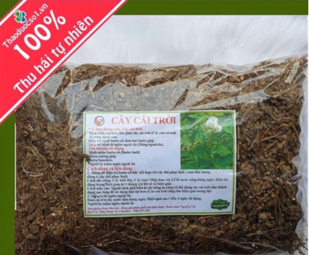 Cây Cải Trời khô 500g GT305