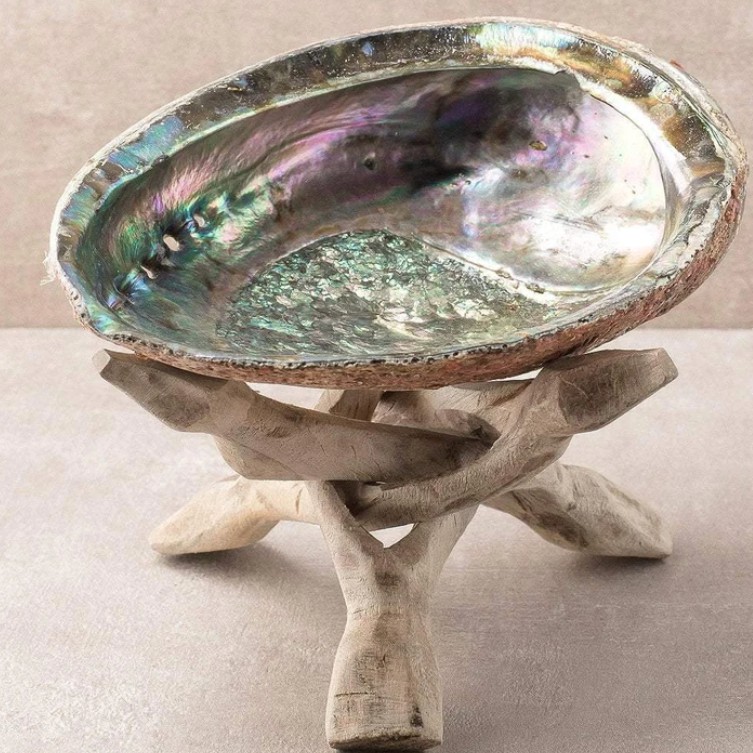 Đĩa Ốc Xà Cừ & Đế Gỗ (Abalone Shell & Wooden Holder) trang trí, đựng xô thơm, trầm hương l XÔ THƠM THANH TẨY-Vỏ Sò