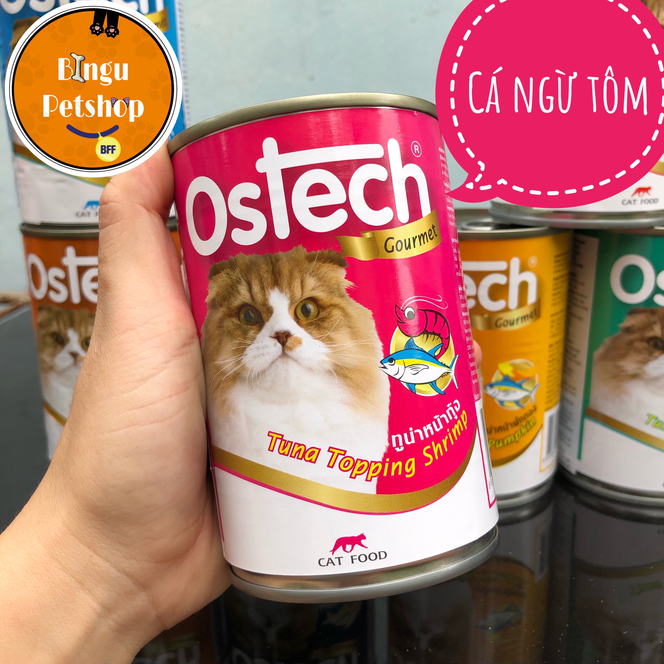 Pate cao cấp cho mèo Ostech Gourmet 8 vị hấp dẫn - lon 400gr