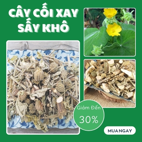 Cối xay sấy khô 500g - Hàng công ty chất lượng cao chuyên dùng để pha trà hỗ trợ thanh nhiệt và làm mát cơ thể - Hàng loại 1 - Thảo Dược Tấn Phát
