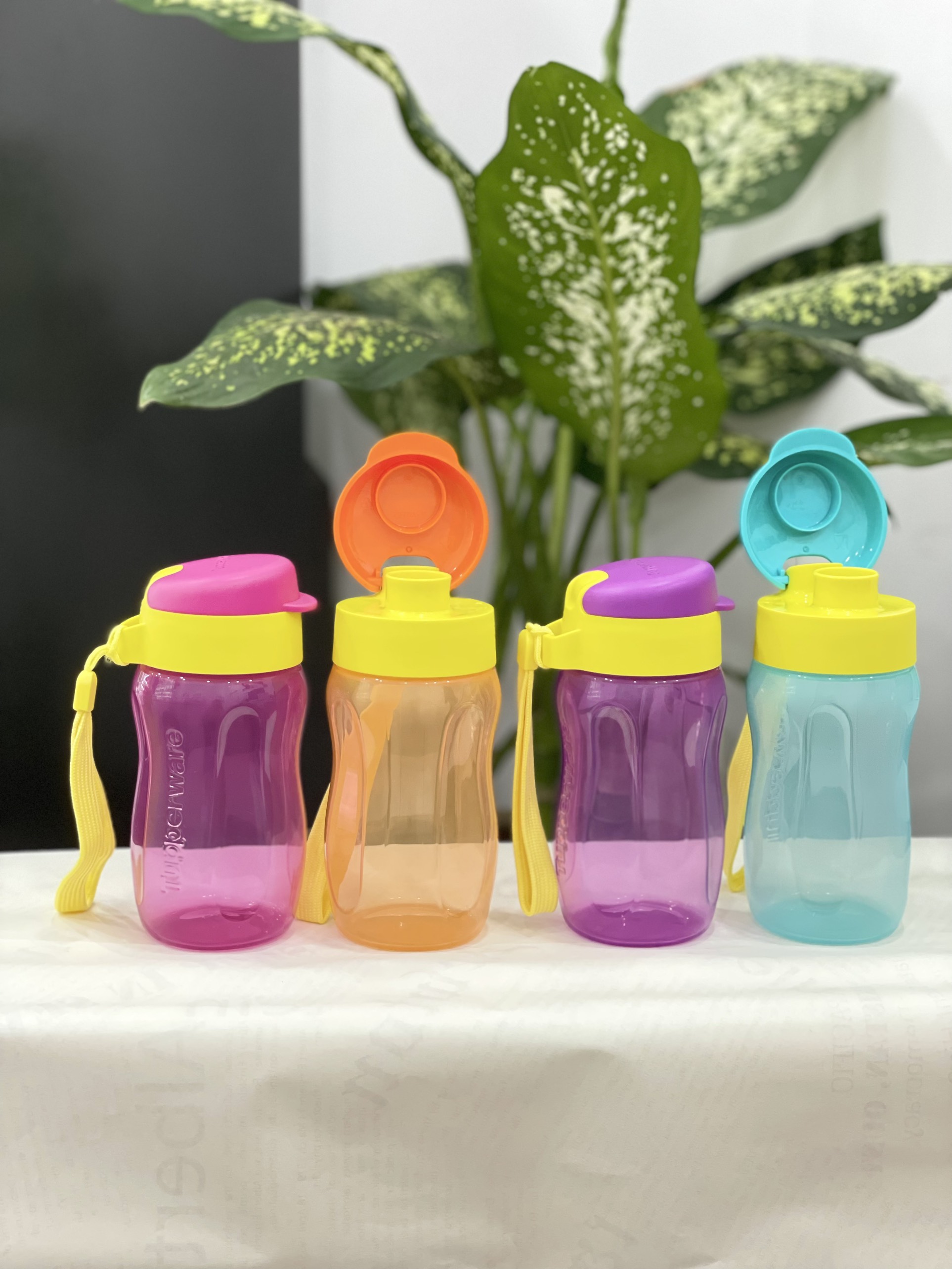 Bình Nước Tupperware Eco 310ml - Tupperware Mall Chợ Lớn