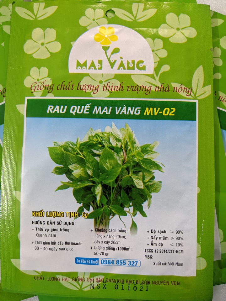 Hạt giống Rau Húng Quế 5g