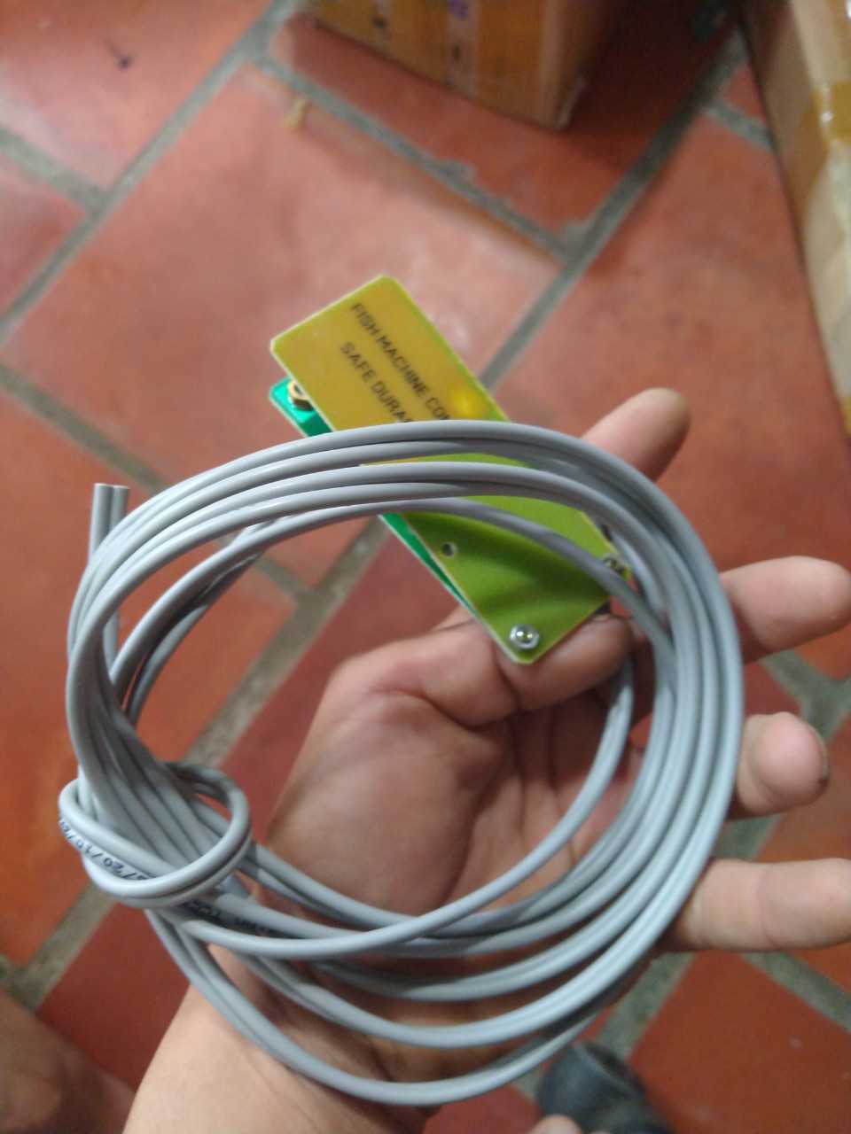 dây cò bớp lớn