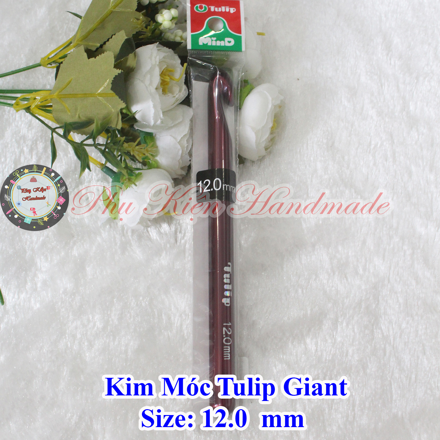 Kim móc tulip Giant
