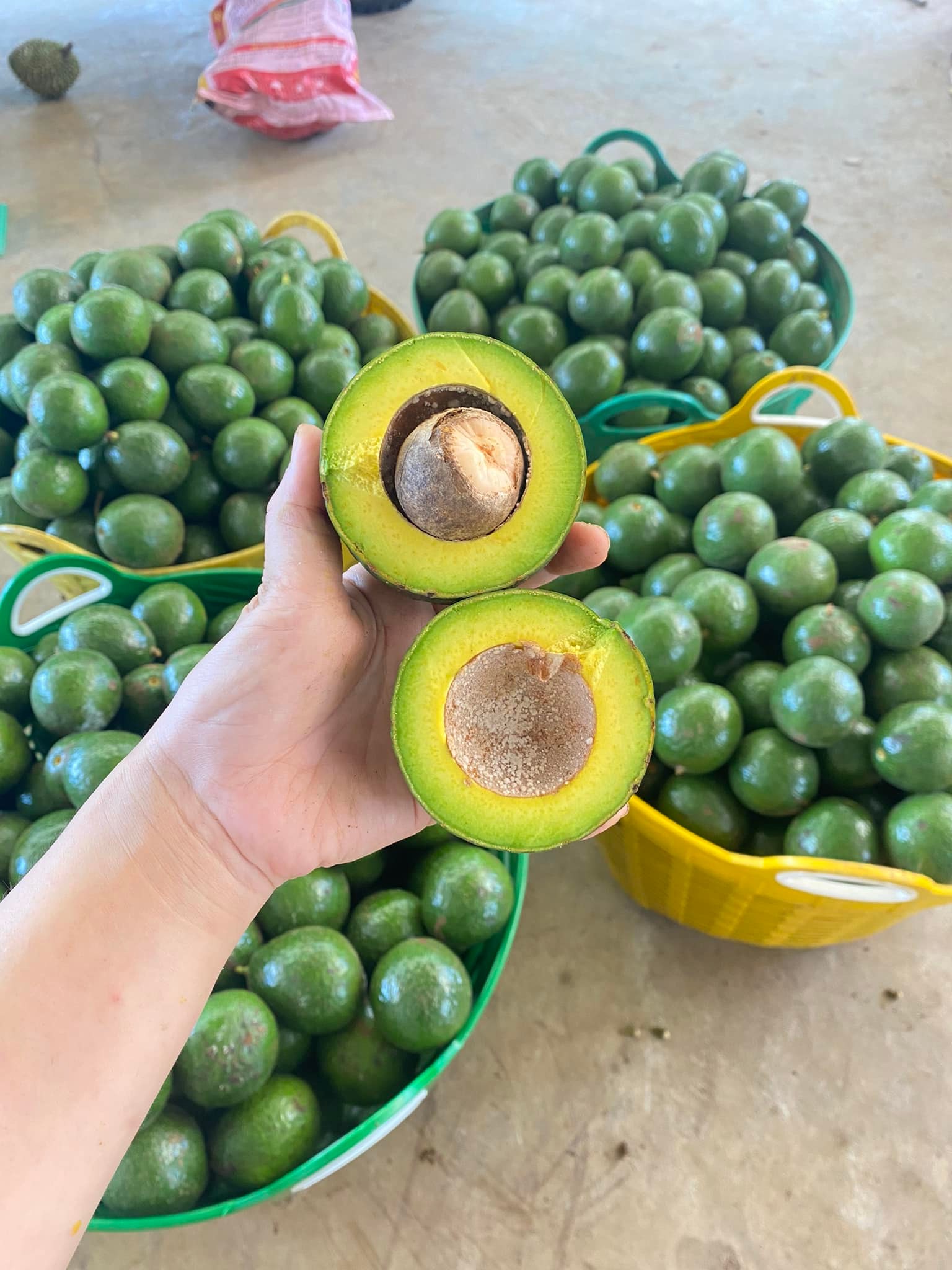 VG FARM Bơ Cắt Sẵn 200g/hôp