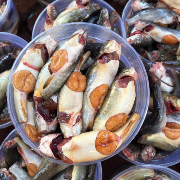 1kg cá chốt 100% trứng