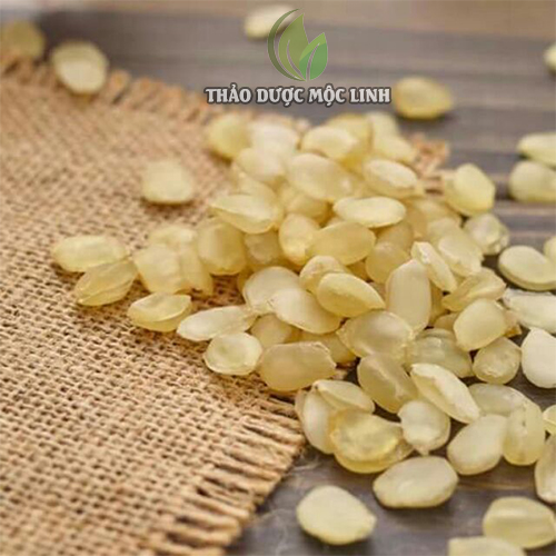 100g Hạt bồ mễ (Tuyết liên tử) cao cấp giàu dinh dưỡng