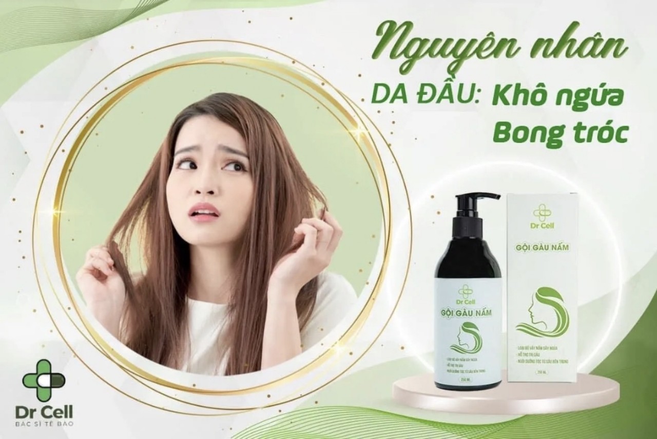Dầu Gọi Nấm Dr Cell