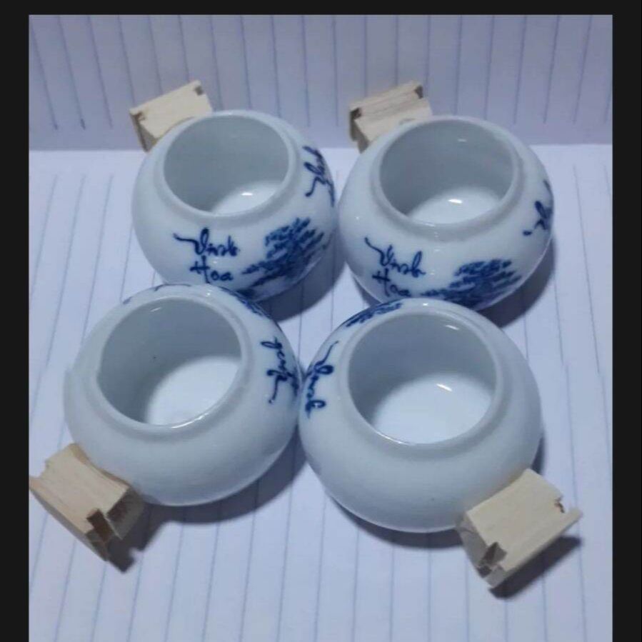 combo 5 bộ cóng yến, tiểu mi, chòe đất