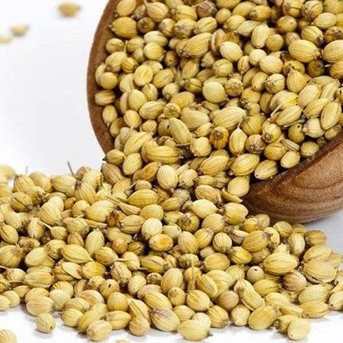 Coriander Seeds - Hạt rau Mùi Dhaniye k beej (100g - 500g)