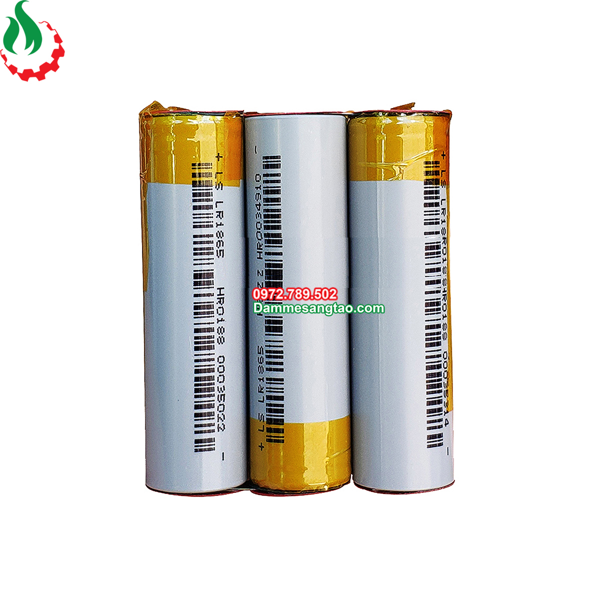 Khối pin Lishen 12V 3S2P dòng xả cao (Pin LS xám 2000mAh 10C)