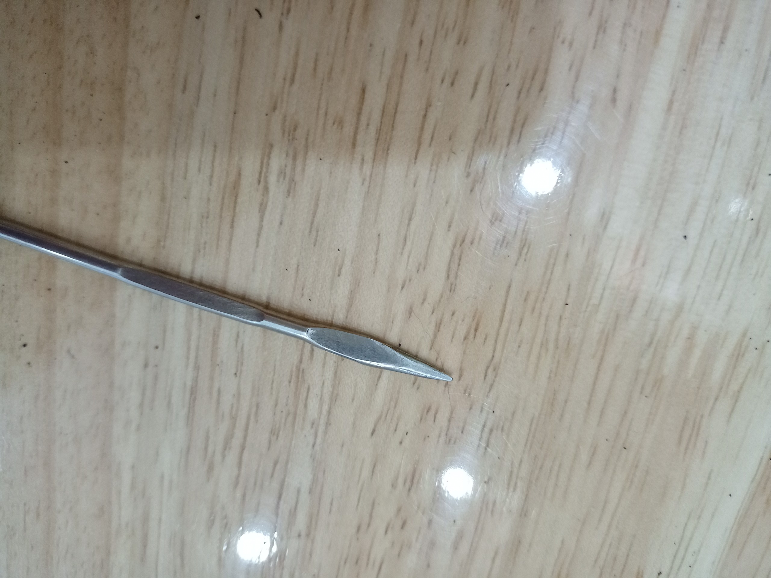 Cây lấy khóe móng chân mũi tên