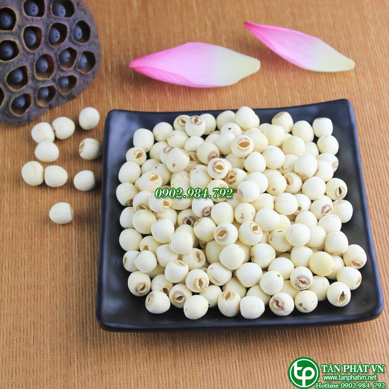 Hạt sen sấy khô 1kg - Thảo Dược Tấn Phát