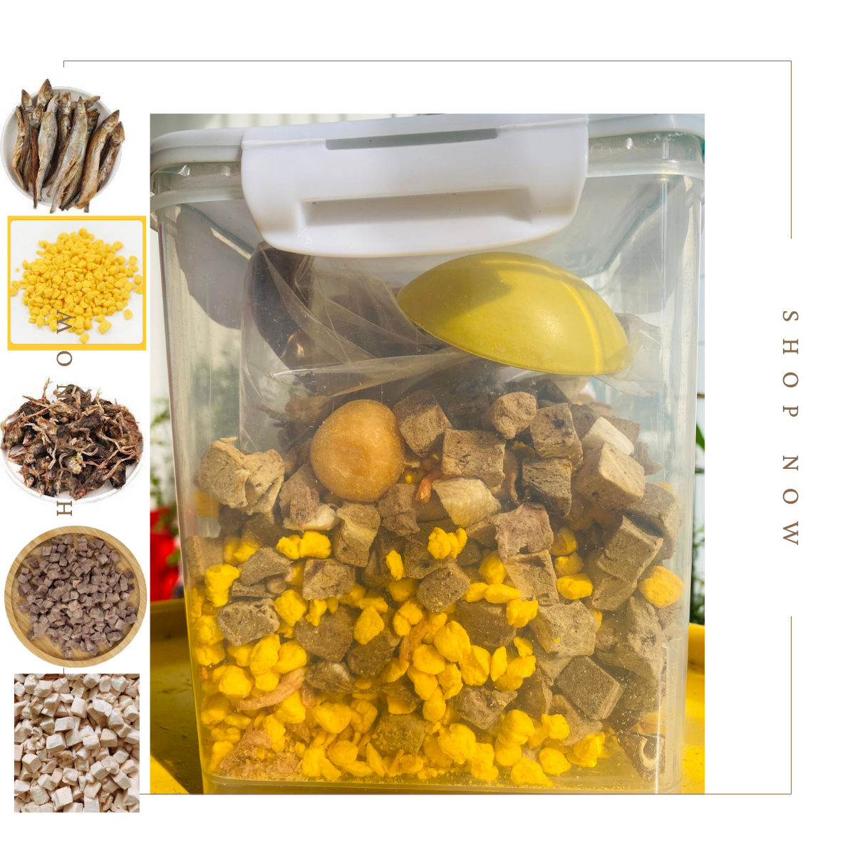 COMBO THỊT SẤY CHÓ MÈO + 50 SÚP THƯỞNG MIX VỊ