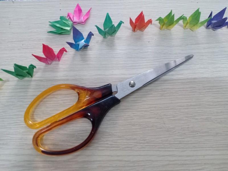 Kéo xà cừ lớn - 5 cây