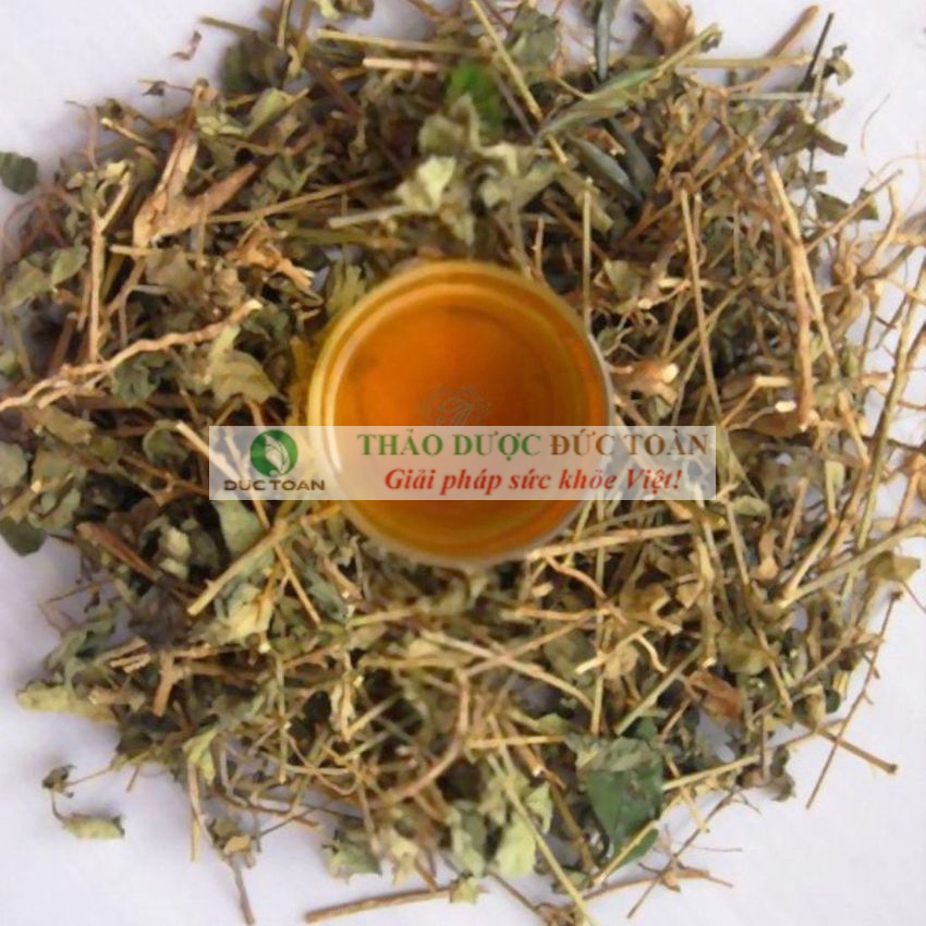 Cà Gai Leo Khô [Giá sỉ] túi 1Kg
