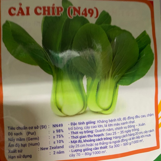 Rau Cải Chíp
