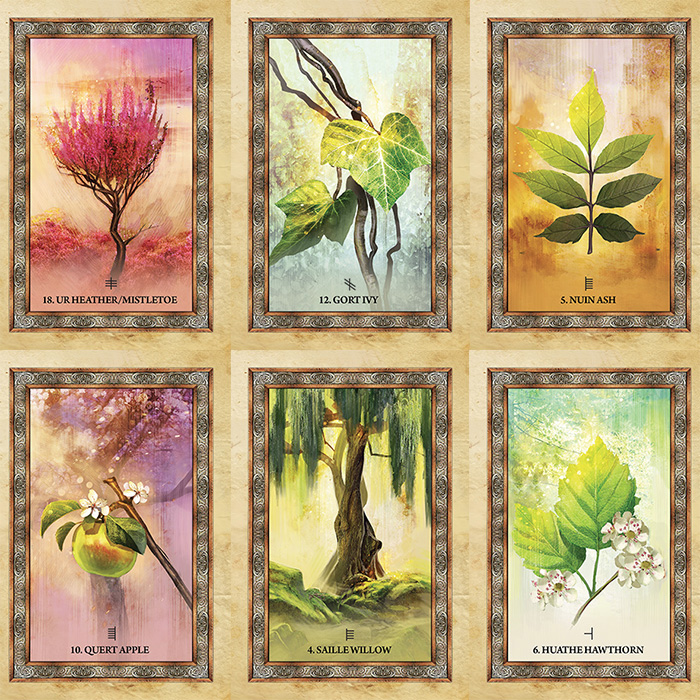 Bộ Bài Celtic Tree Oracle (Mystic House Tarot Shop) - Bài Gốc Authentic Chính Hãng 100%