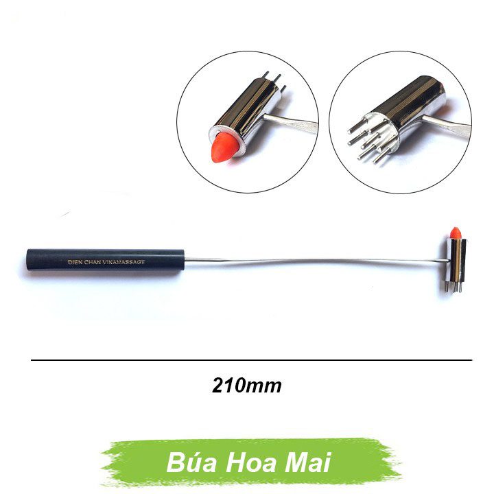 Búa Nhỏ - Dụng cụ diện chẩn