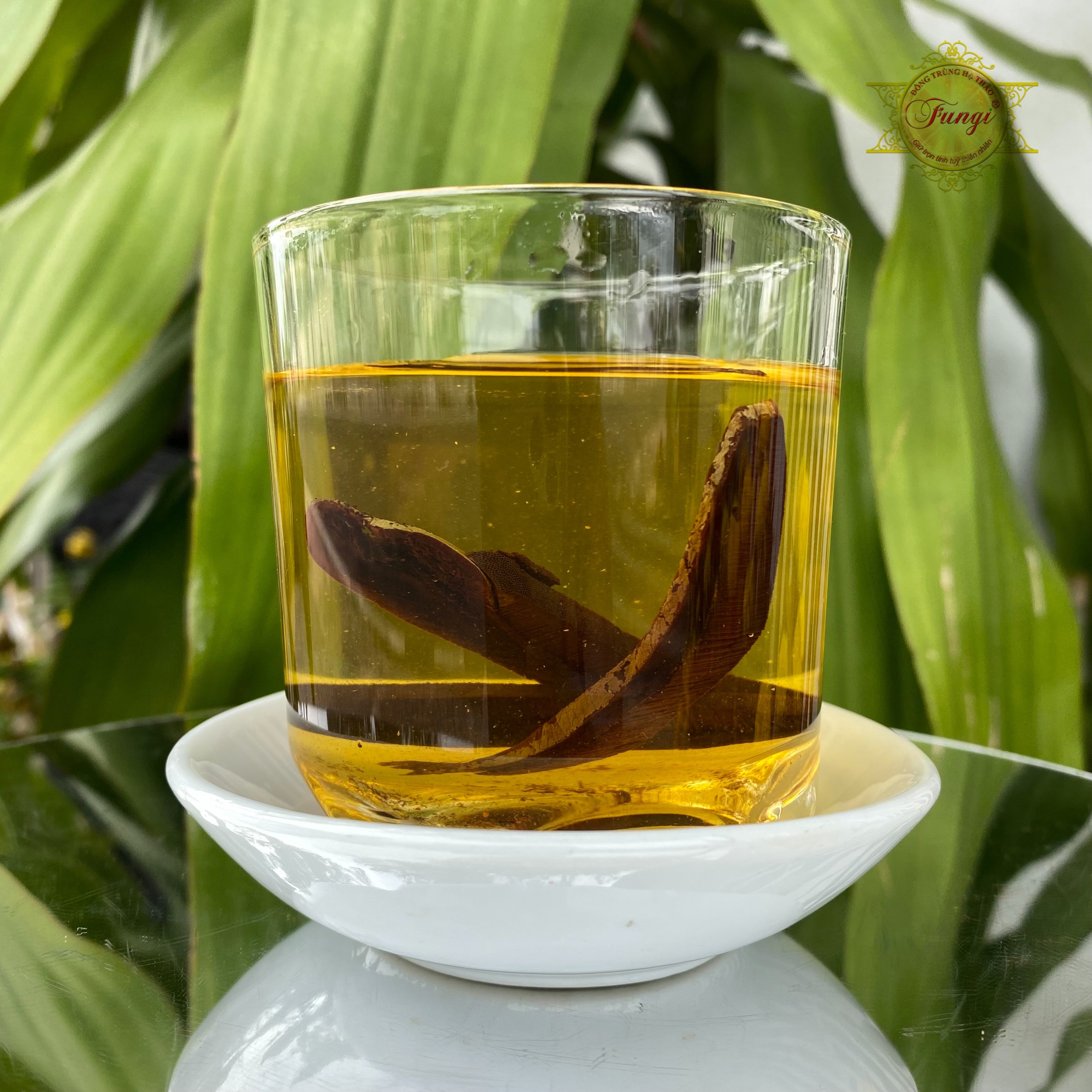 Nấm Linh Chi Đỏ hộp 500g