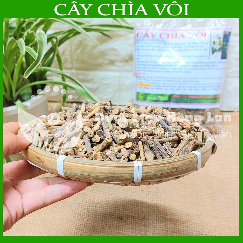Combo 3kg cây chìa vôi khô - công ty tnhh dược liệu hồng lan