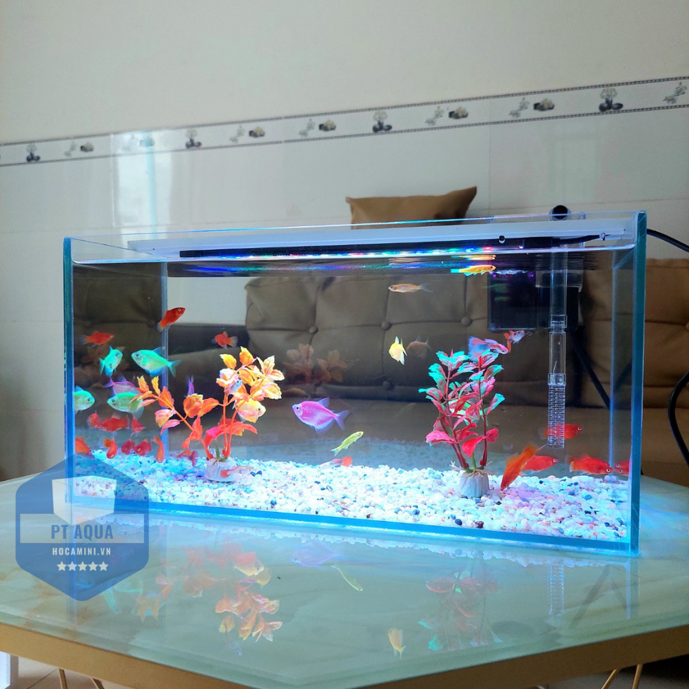 Bể cá mini 40cm COMBO đầy đủ phụ kiện