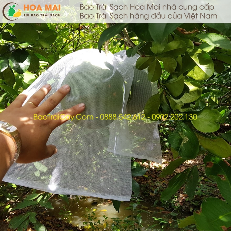 100 Túi bao bưởi 30x35cm Lưới Mùng Trơn