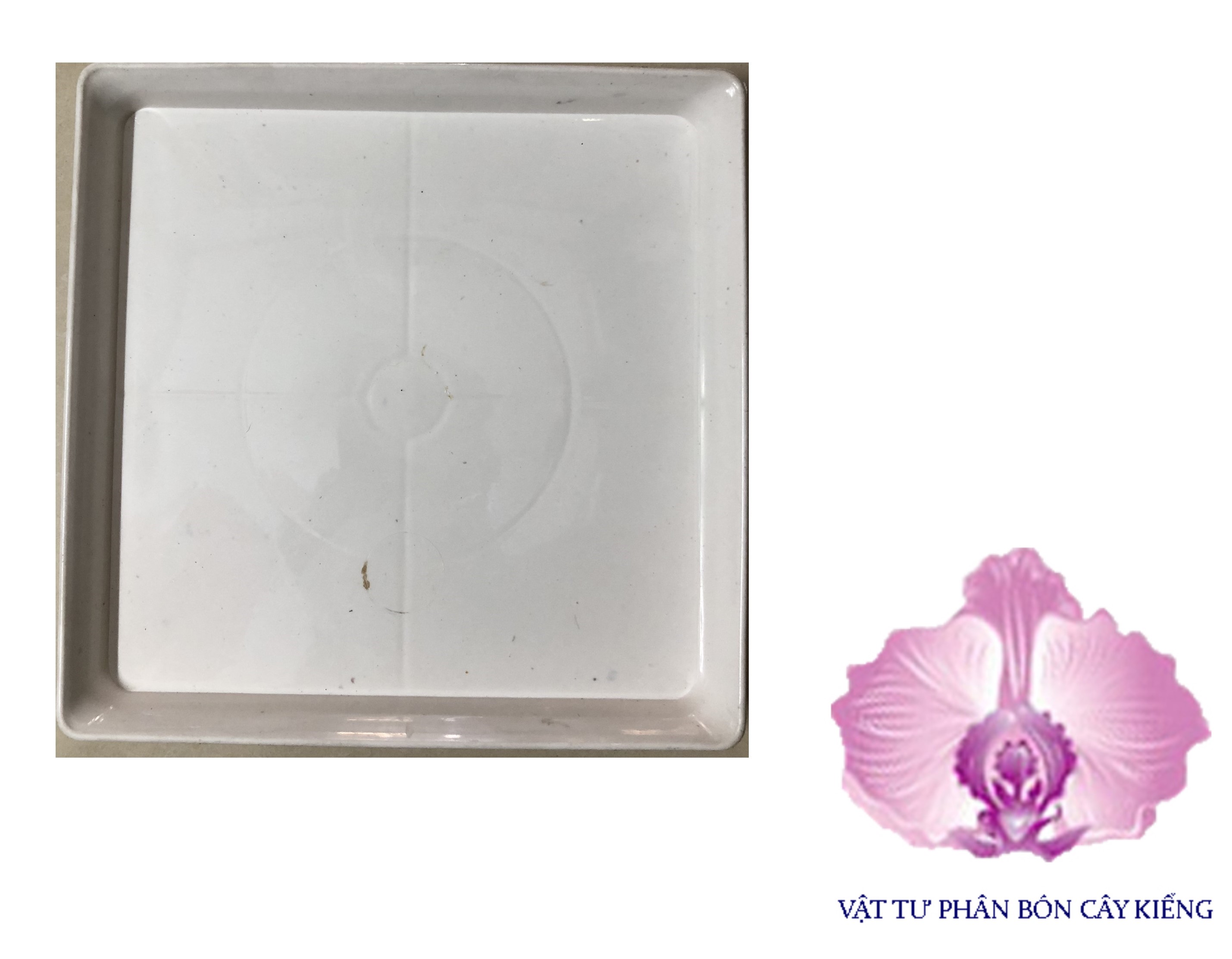 Đĩa lót chậu vuông 24cm - #071d#