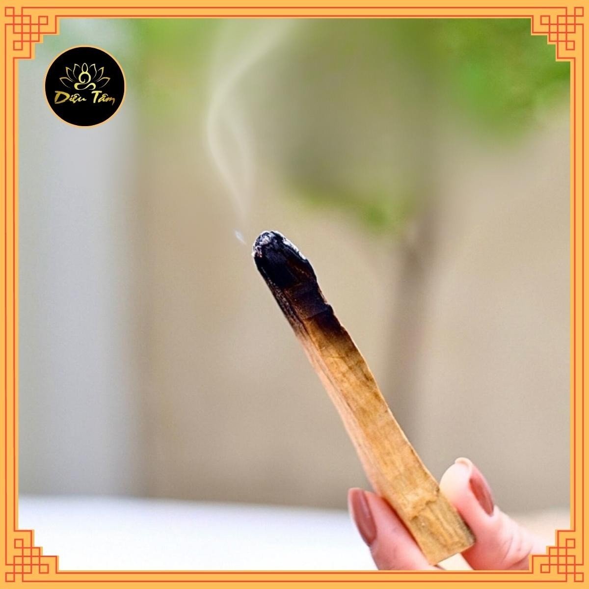 Gỗ Trắc Xanh Palo Santo đốt thơm nhà xô thơm thanh tẩy nhà cửa thảo mộc xông nhà thiền định, đem lại may mắn