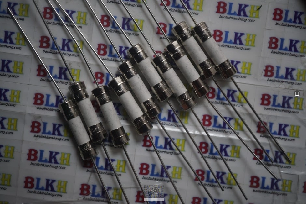 10 cầu chì sứ cắm 20a 5x20mm