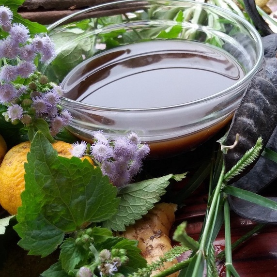 Dầu Gội Thảo Dược 100% Organic Bạc Hà The Mát