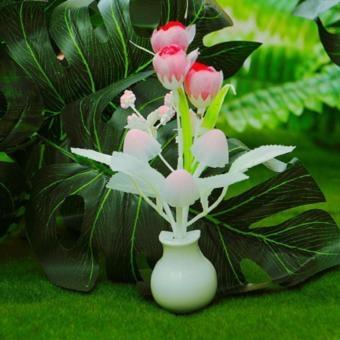 Đèn ngủ nấm cảm ứng hình bình hoa