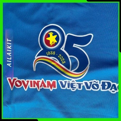 {ÁO THUN POLY CÓ CỔ} IN 85 NĂM VOVINAM MÔN PHÁI AILAIKIT